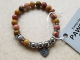 PAWS Collection