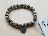 PAWS Collection