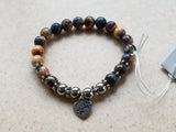 PAWS Collection