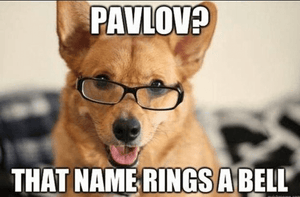 Pavlov's Dogs